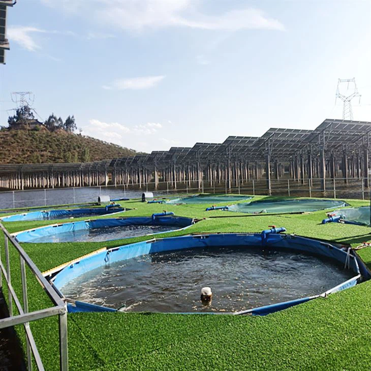 ตู้ปลาแบบพกพาในร่มกลางแจ้ง